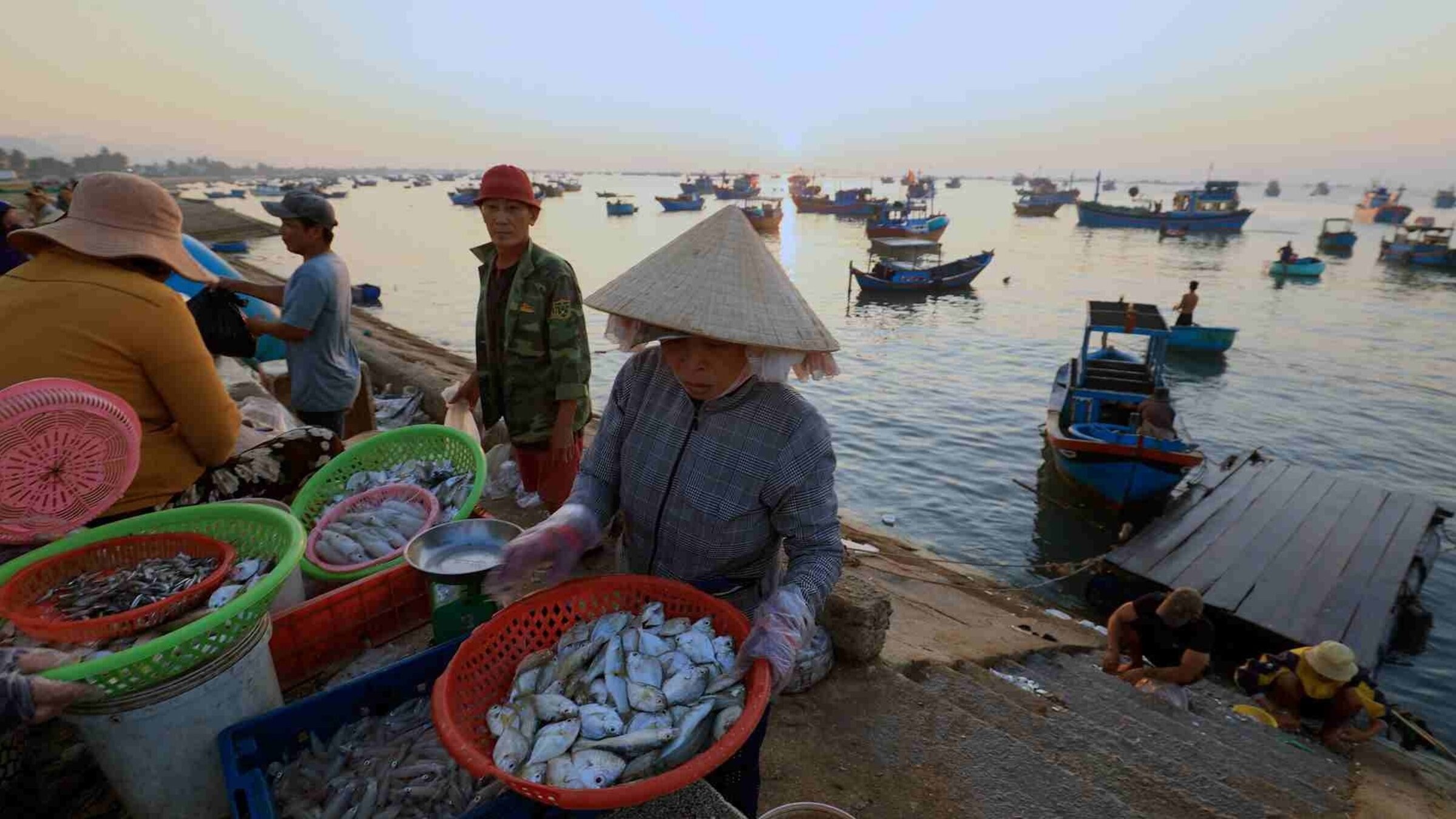 "Traumorte - Süd-Vietnam": Fischer und Fischerinnen bieten Plastikschüsseln voller kleiner Fische an.