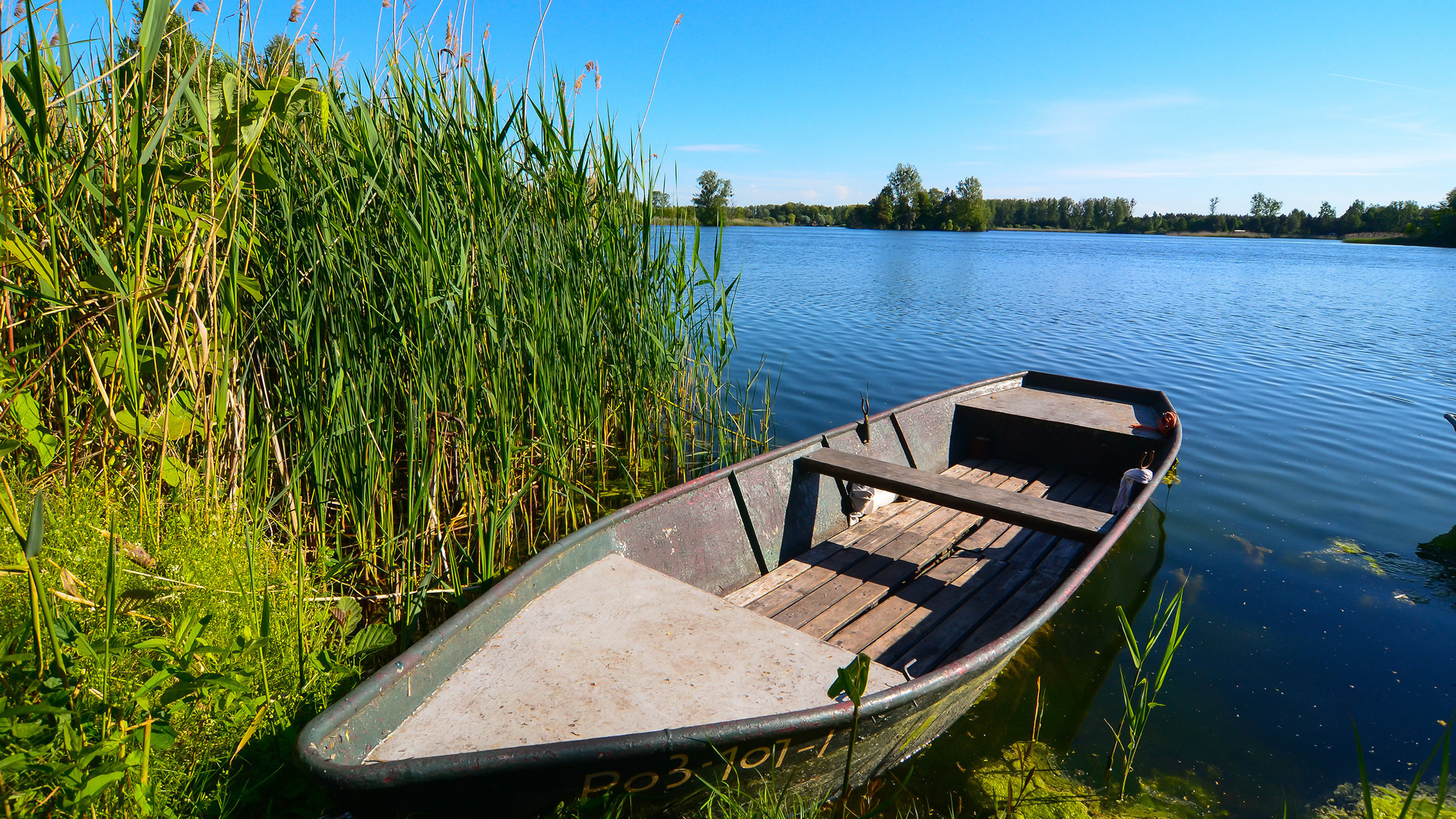 "Wildes Deutschland - Die Havel" - ein Boot liegt am Ufer.