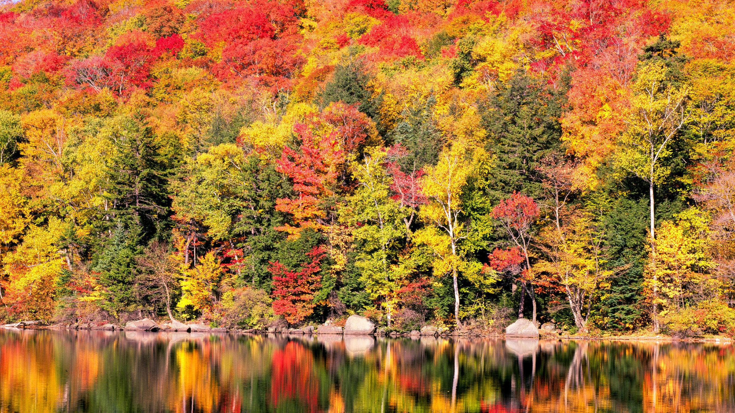 "Zauber der Jahreszeiten (3/3) - Neuengland": New England - Herbst Wald.