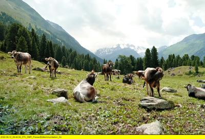 Faszination Österreich - Tirol