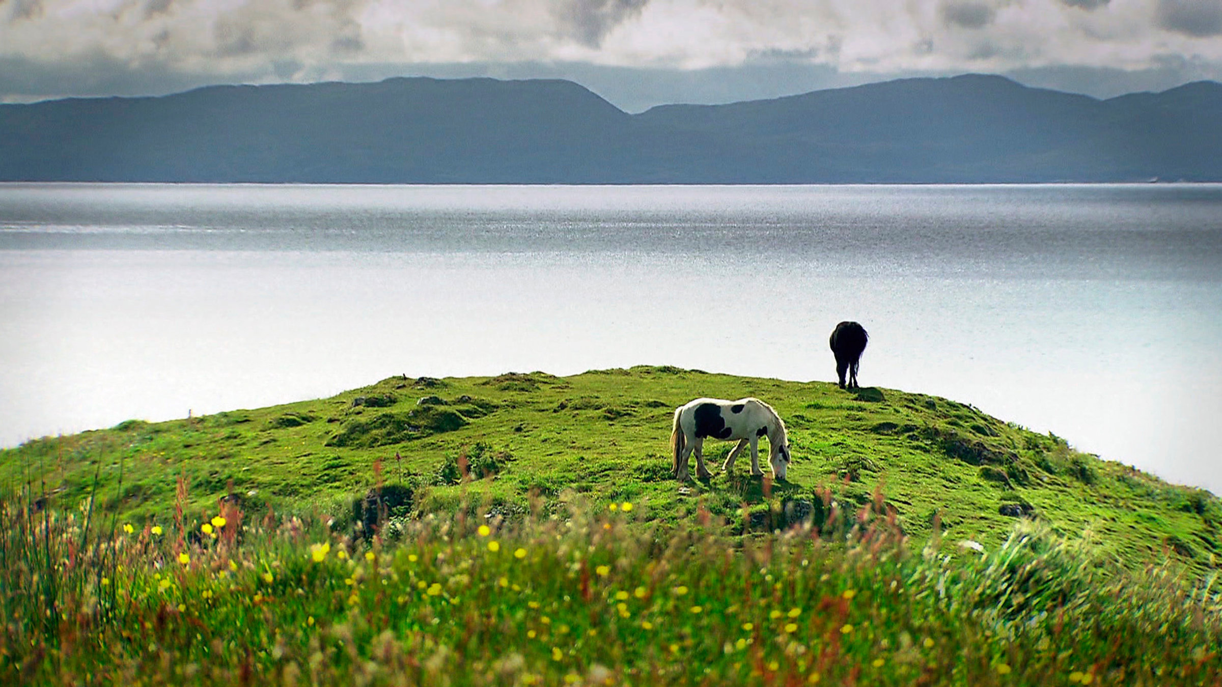 "Schottland - Rebellen im Rock": Schottland: Landschaft mit Pferden.