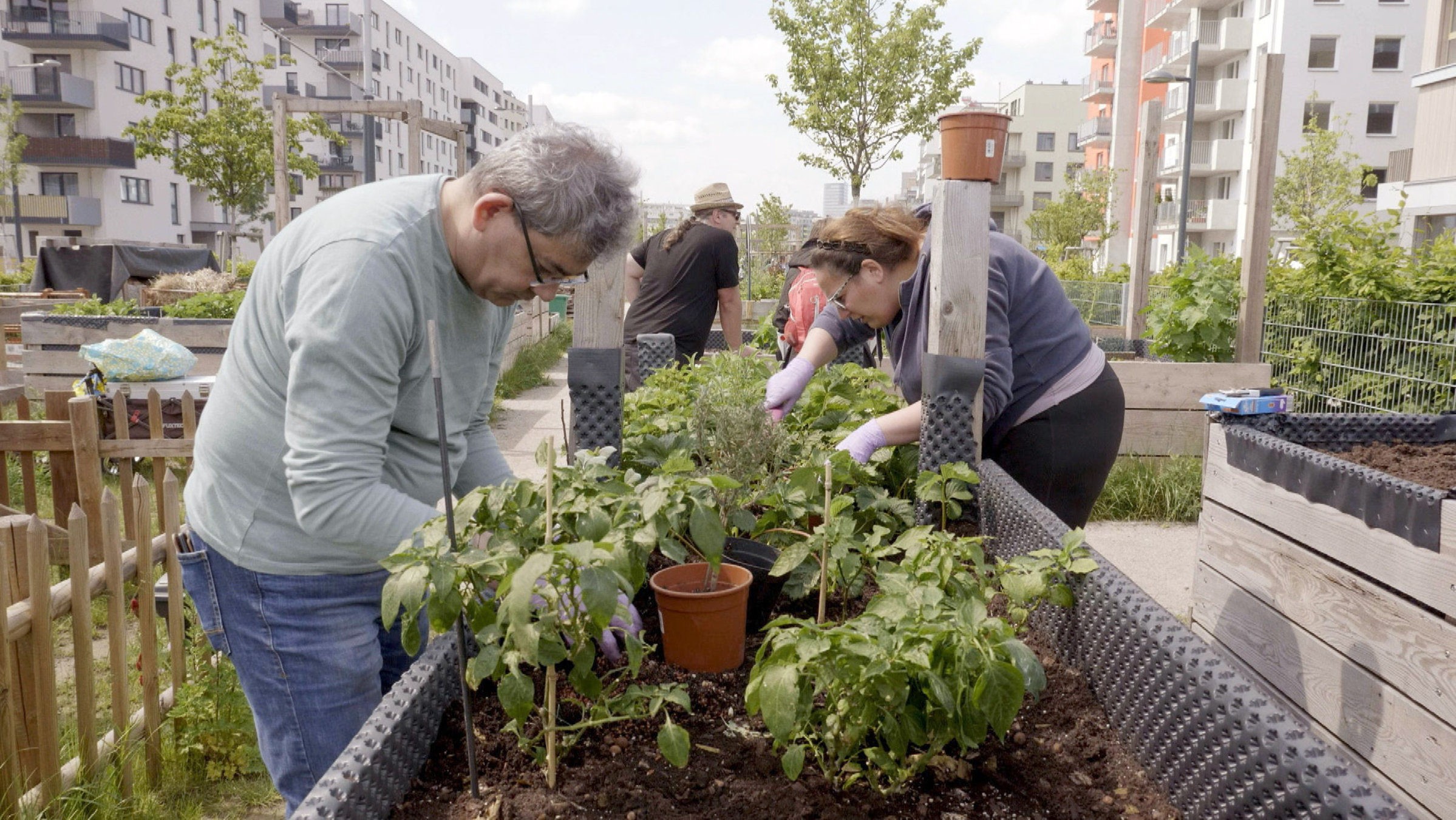 "Wiener Parks (2/2) - Grüne Oasen am Rande der Stadt": Im Helmut Zilk Park trifft Natur auf Gartengestaltung.