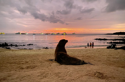 Galapagos - Kämpfen gegen das Artensterben