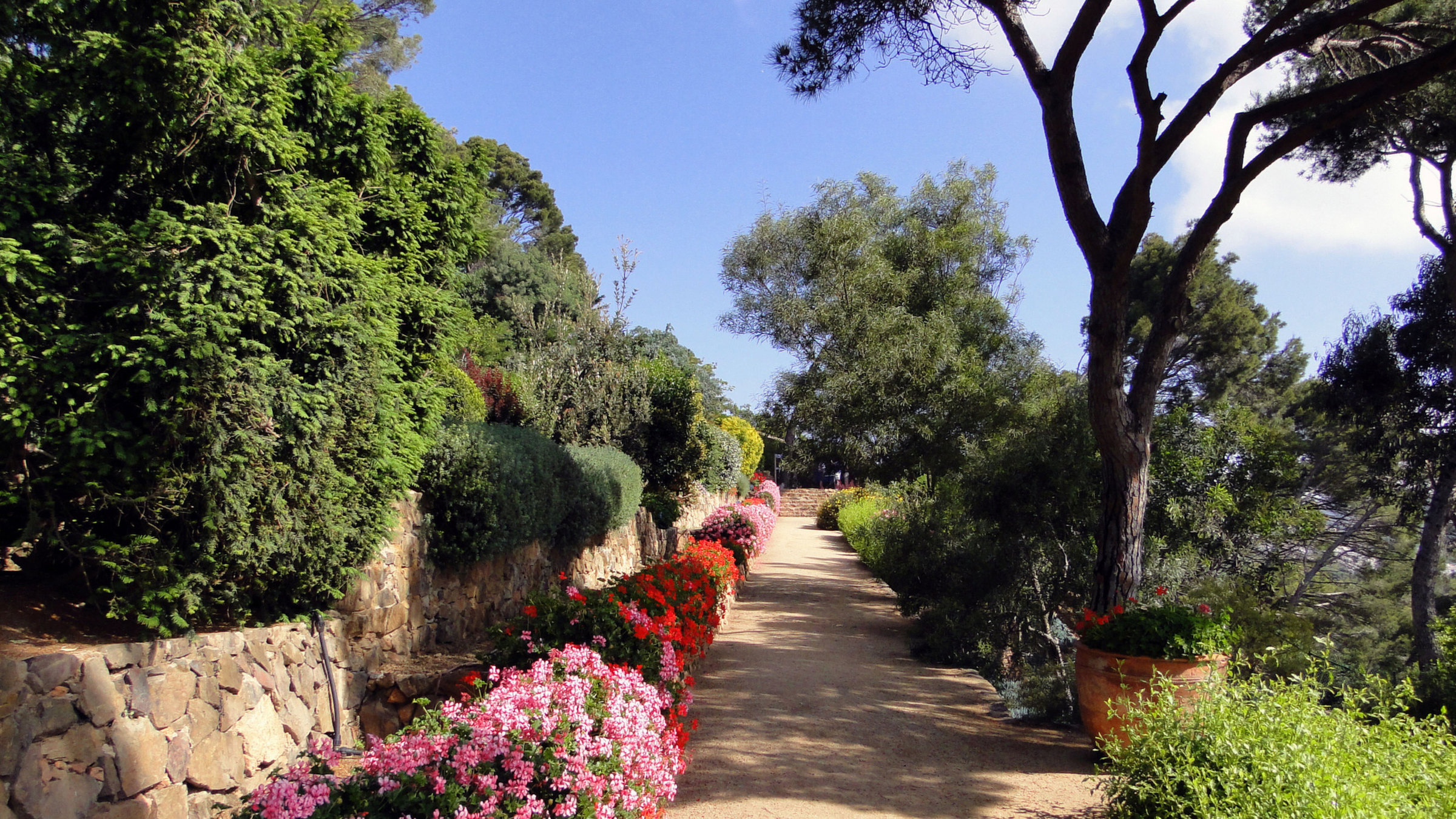 "Gärten in Spanien" - Der Geranienweg im Botanischen Garten von Calella de Palafrugell am Cap Roig.