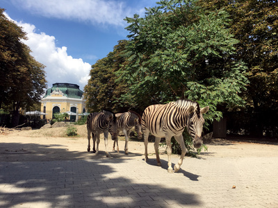 Abenteuer Schönbrunn - Der älteste Zoo der Welt