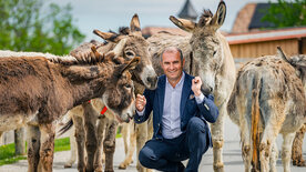 Eine Zuflucht für Tiere - Gut Aiderbichl