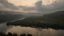 Kambodschas größter Regenwald (1/2)