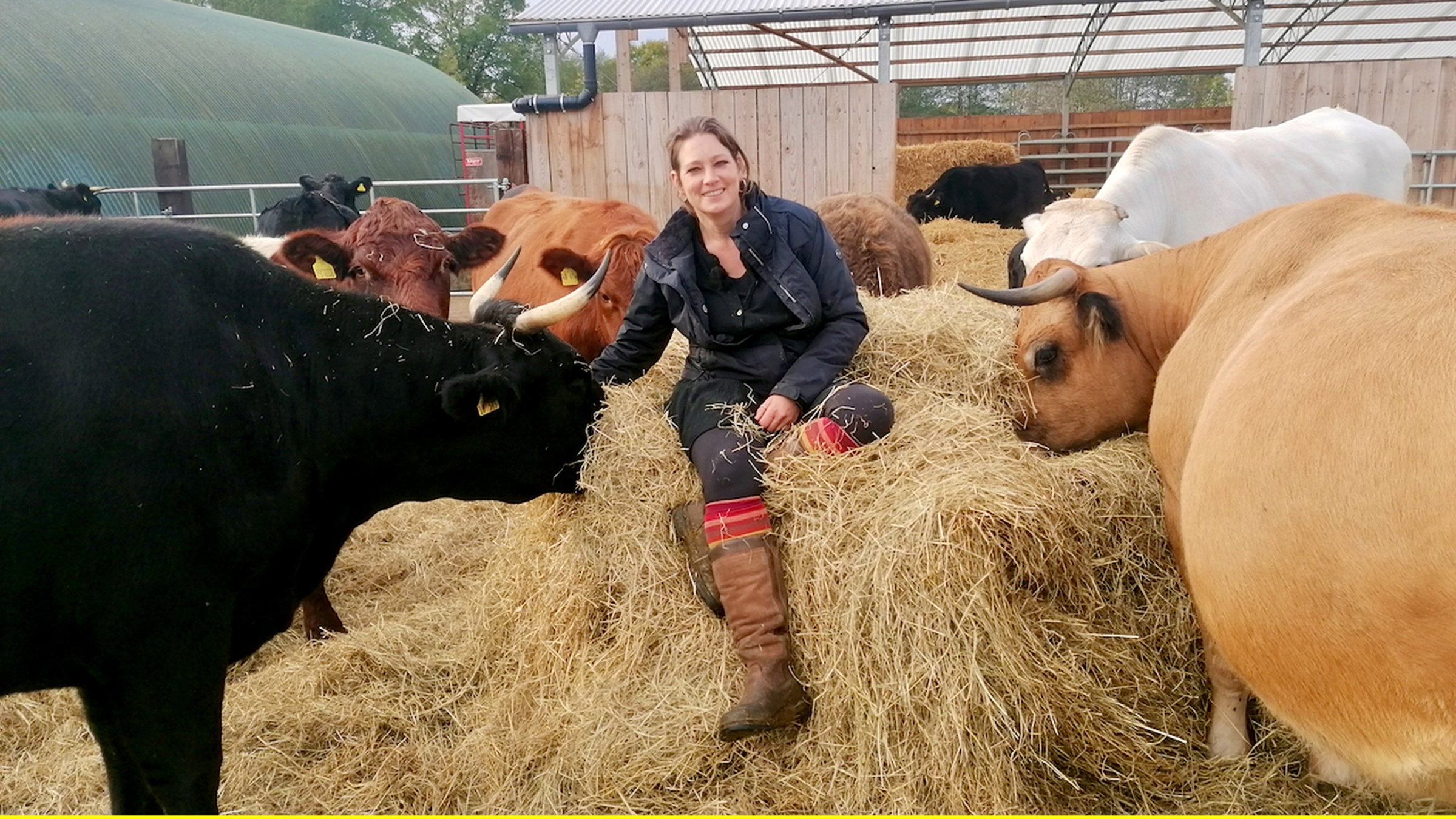 "Die Nordreportage: Anna und die Edelrinder": Anna Butz züchtet hauptsächlich Rinder der japanischen Edelrasse „Wagyu“.