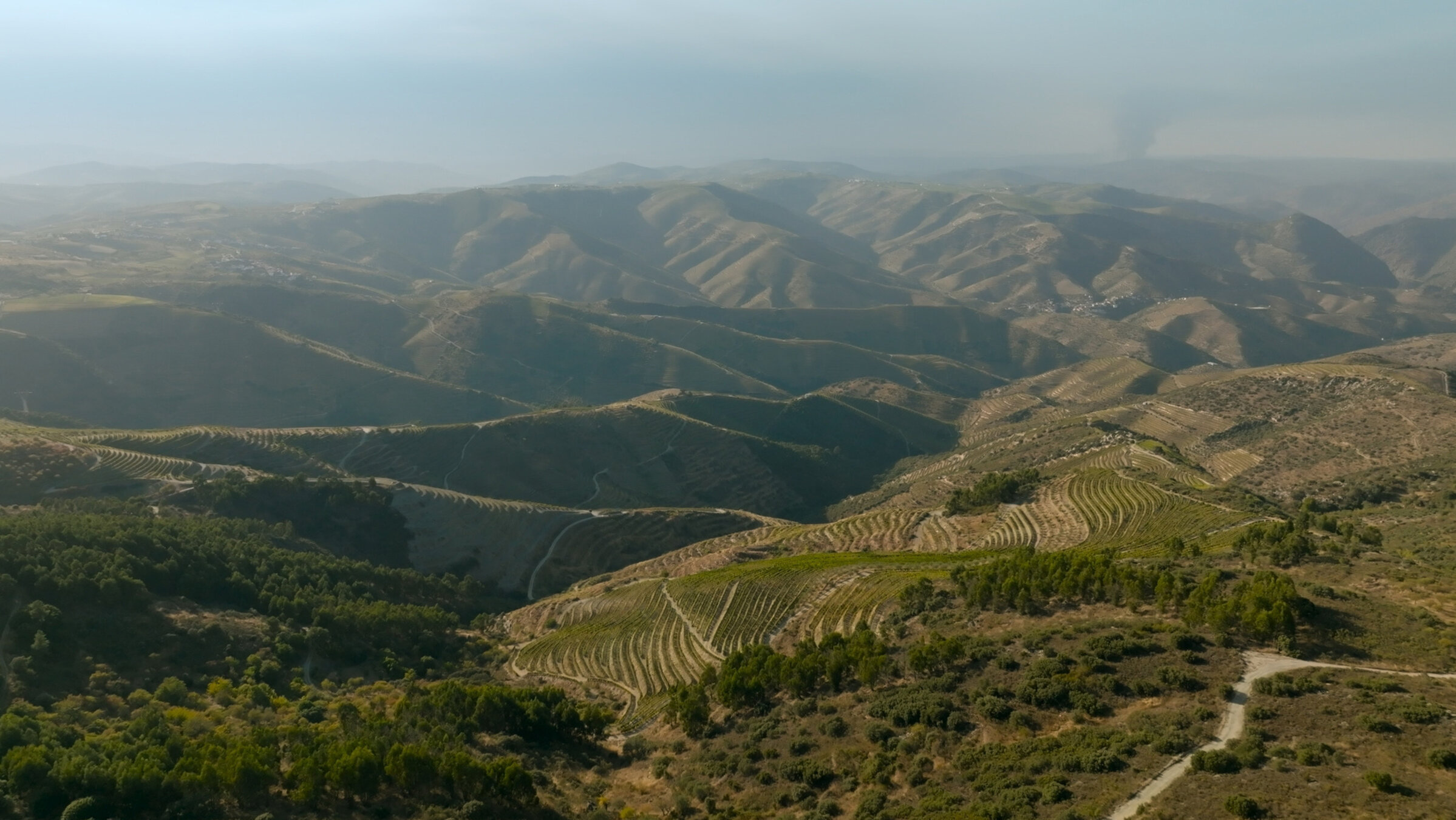 "Naturparks in Portugal: Naturpark Douro": Die steilen Hänge des Douro-Tals, das als UNESCO-Weltkulturerbe anerkannt ist.