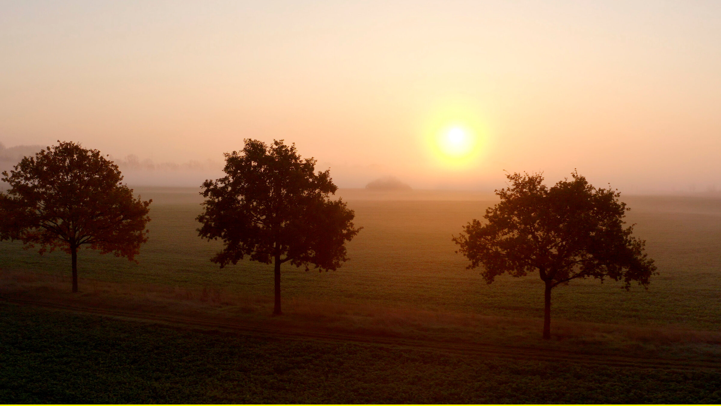 "Herbstschlag": Rote und braune Farbtöne dominieren im Herbst die Natur.