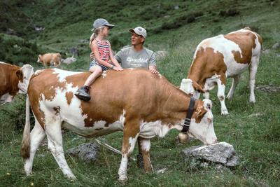 Bergbauernleben: Der Sommer