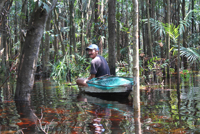 Wilde Inseln: Amazonas