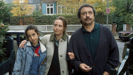 Stubbe - Von Fall zu Fall