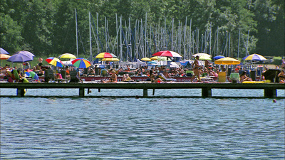 Wörthersee - Bühne für Tier und Mensch
