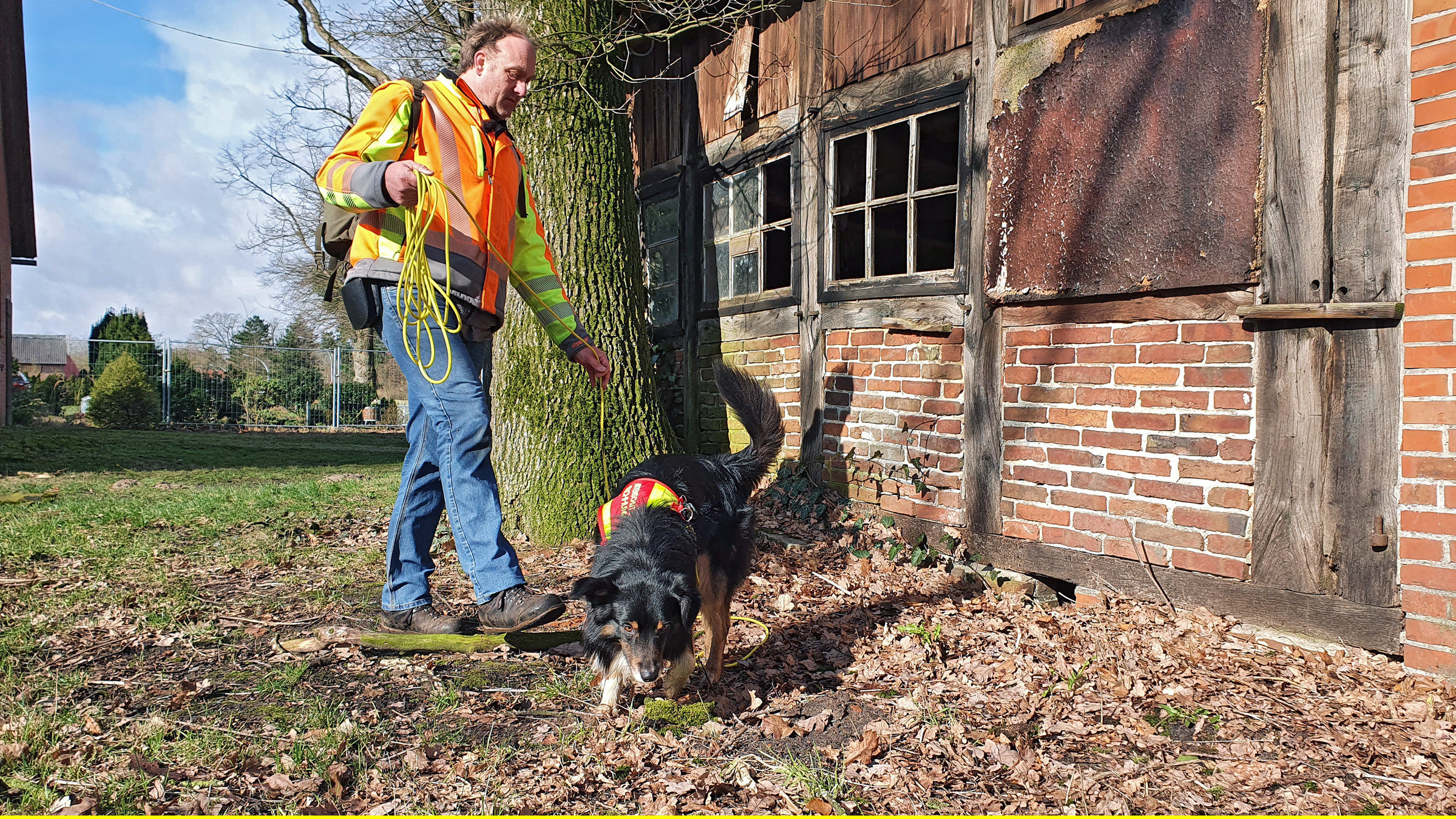 "Die Nordreportage: Detektive auf vier Pfoten": Stefan Meyerrose, Baumsachverständiger, mit seinem Australian Shepherd Benno im Einsatz.