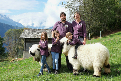 Das schönste Schaf im Wallis