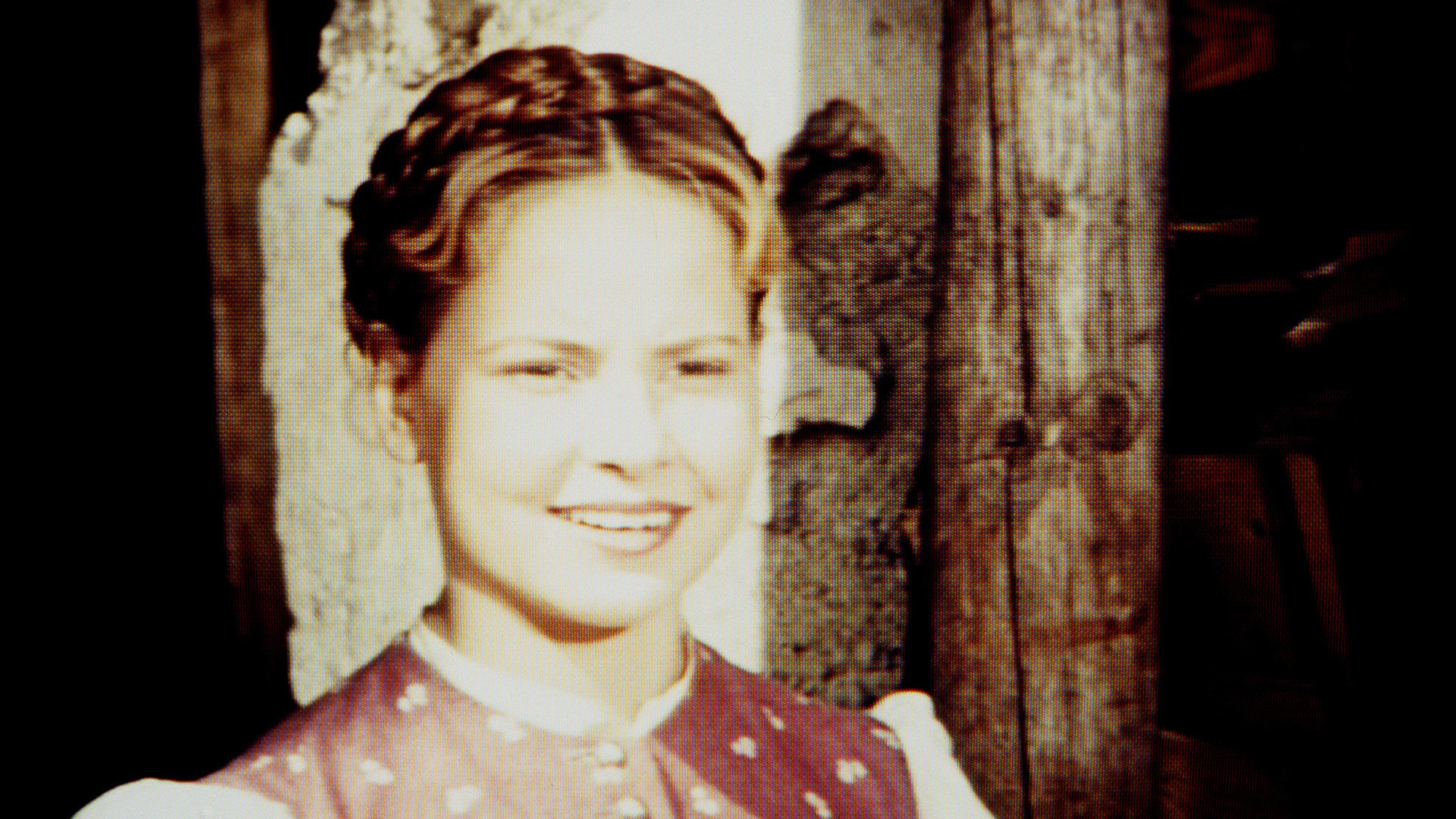 "Der Schandfleck" - Gerlinde Locker.