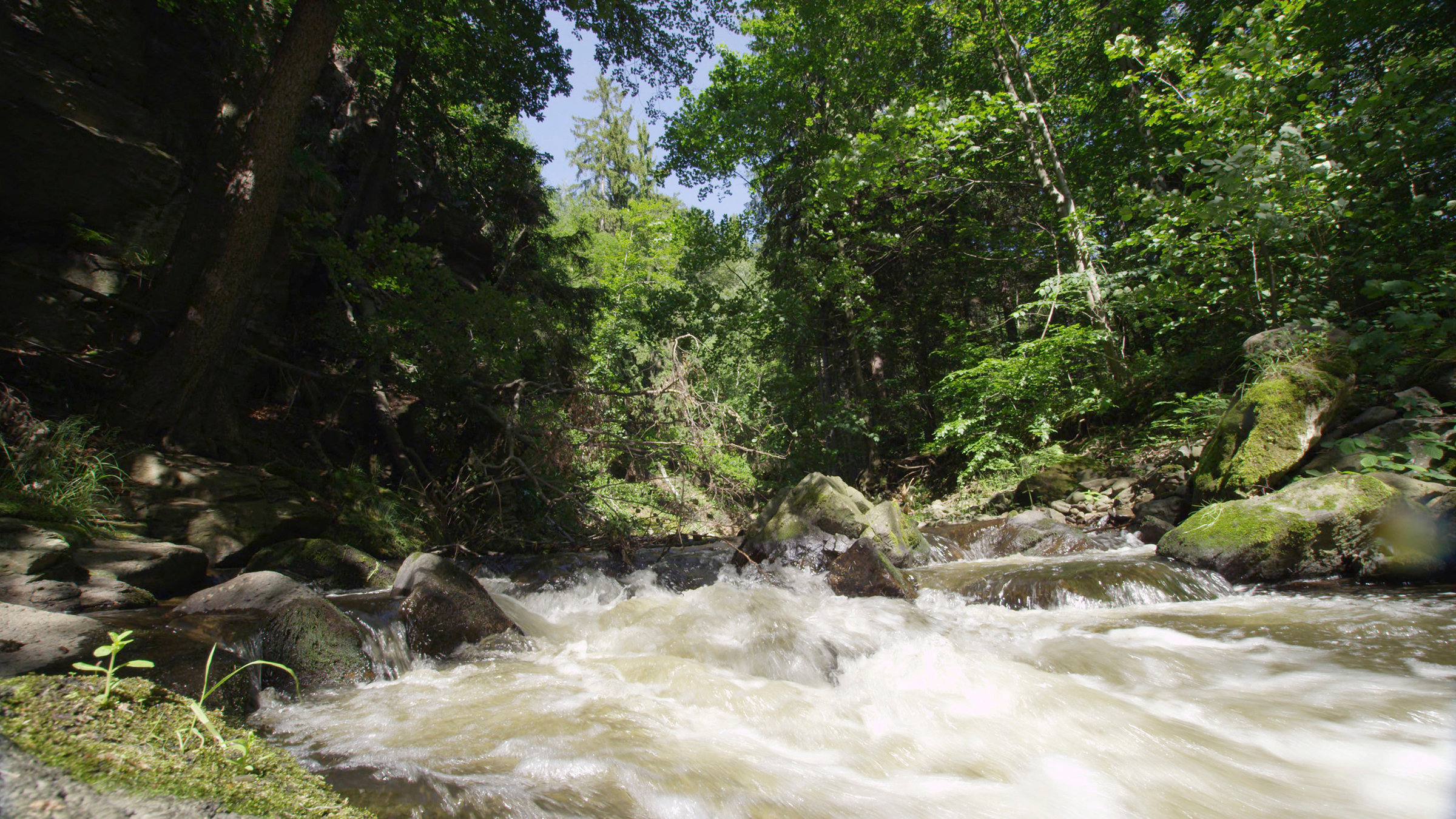 "Die wilde Müglitz": Müglitz.