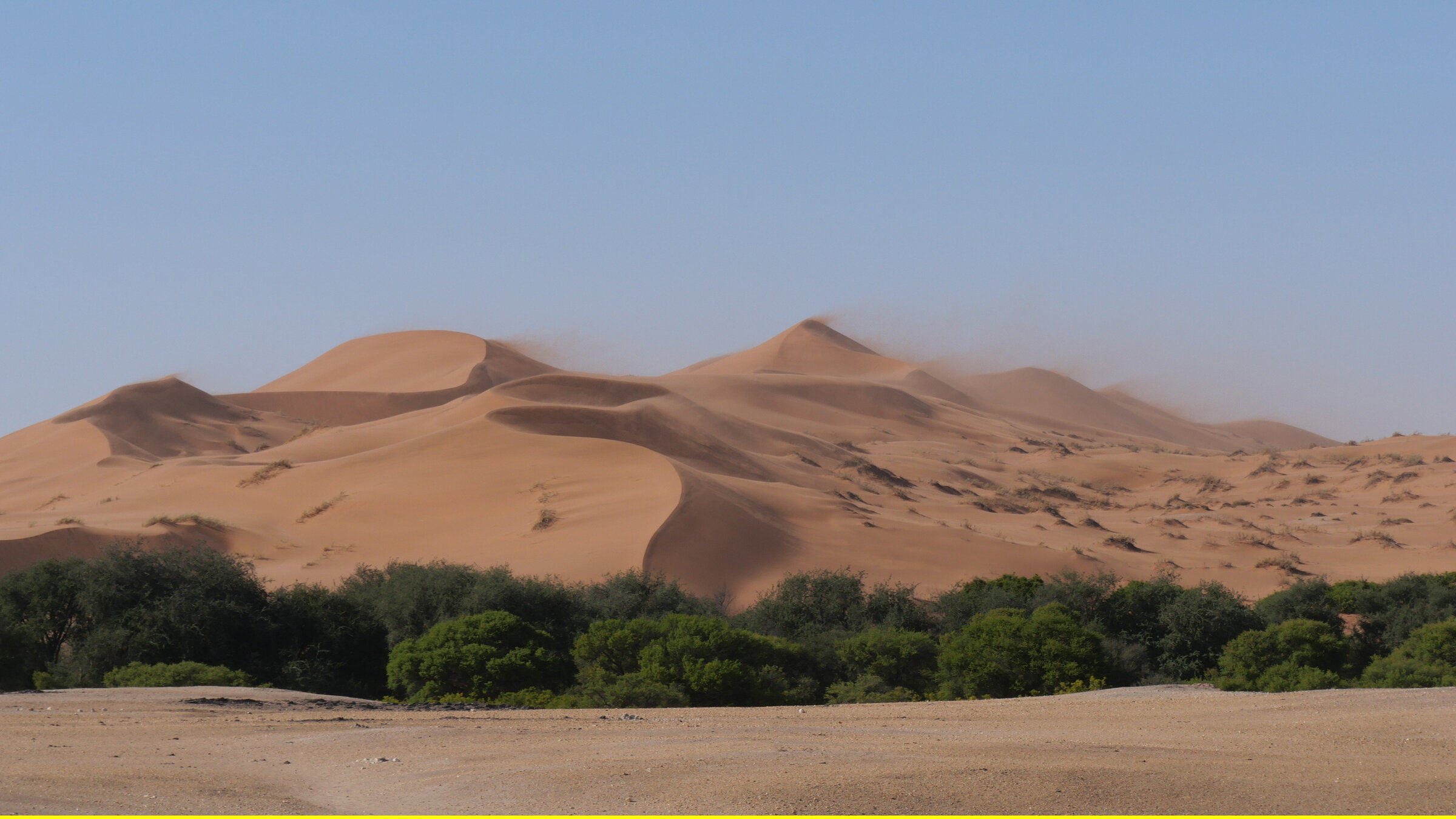 "Namibia - Leben mit der WÃ¼ste": Rote DÃ¼nen der Namib-WÃ¼ste sind durch hÃ¤ufige starke Winde stÃ¤ndig in Bewegung.