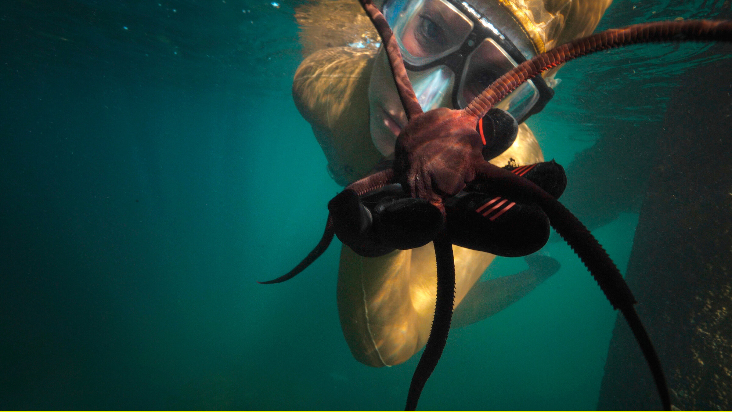 "Waterwoman (2/4) - Neuseeland - Bei den größten Aalen der Erde": Anna von Boetticher mit einem Brittle star Seestern bei Whangarei in Neuseeland.