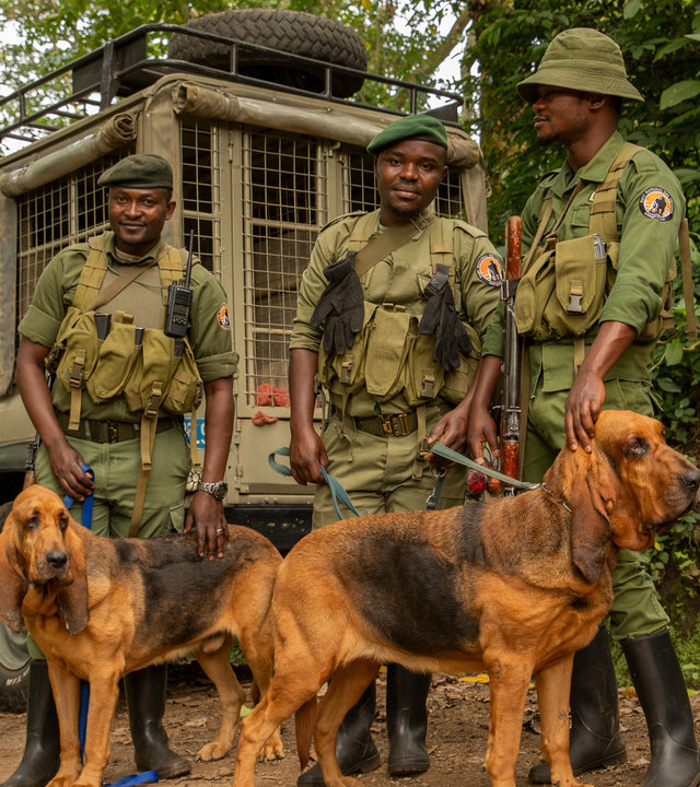 "plan b: Zum Schutz der Tiere - Im Einsatz für bedrohte Arten": Die Hundestaffel steht im Virunga-Nationalpark mit zwei Hunden vor einem Geländewagen.