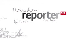 Lebensmittel der Zukunft – Food-Tech revolutioniert<br/>die Käseindustrie