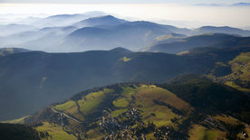 Der Schwarzwald - Tannen, Tradition, Touristen