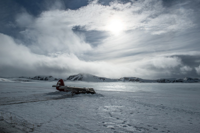 Arctic
