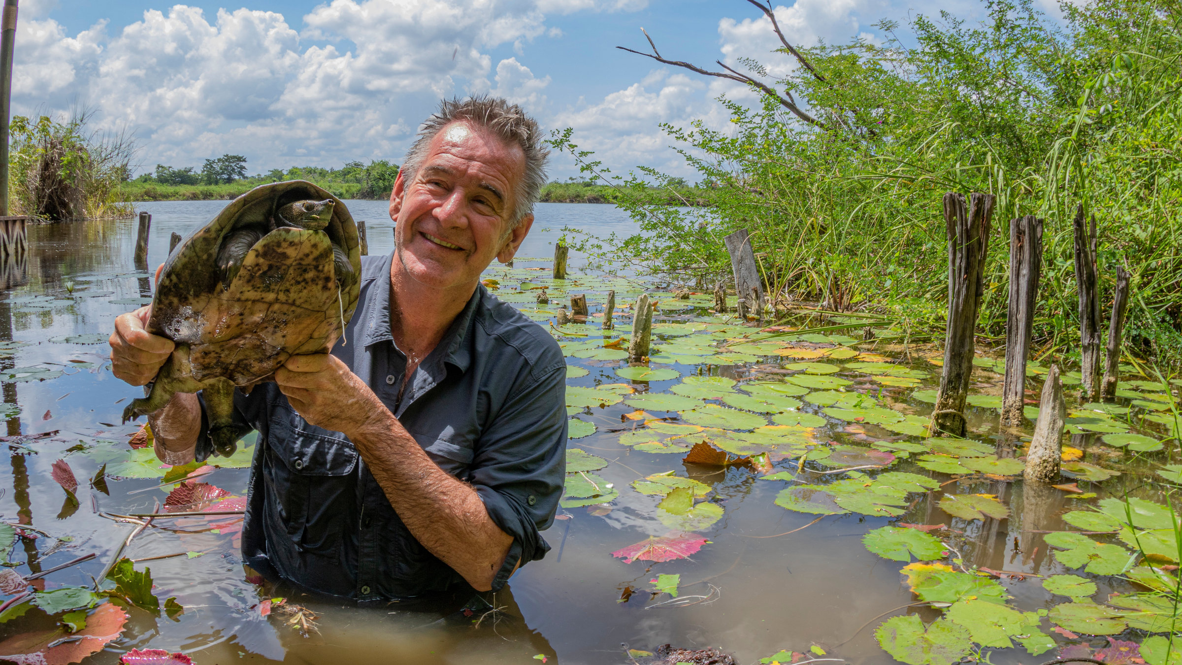 "Wildes Zentralamerika - Im Vulkanland Guatemalas": Nigel steht im Wasser und hält eine Schildkröte hoch.