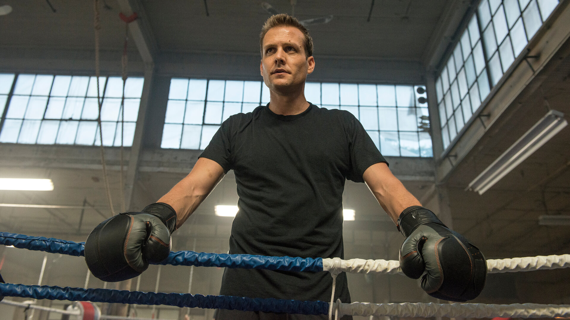 "Suits - Überraschungsangriff": Harvey (Gabriel Macht) steht mit ernstem Blick und in schwarzem T-Shirt im Boxring. Er trägt Boxhandschuhe und stützt sich auf die Seilbegrenzung. Im Hintergrund sind die hohen Fenster der Trainingshalle zu sehen.
