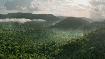 Guyana – Der Weg des Jaguars