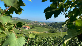 Das Piemont - Genuss am Fuße der Alpen