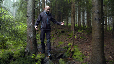 Zwischen Fels und Fluss - Das Lafnitztal