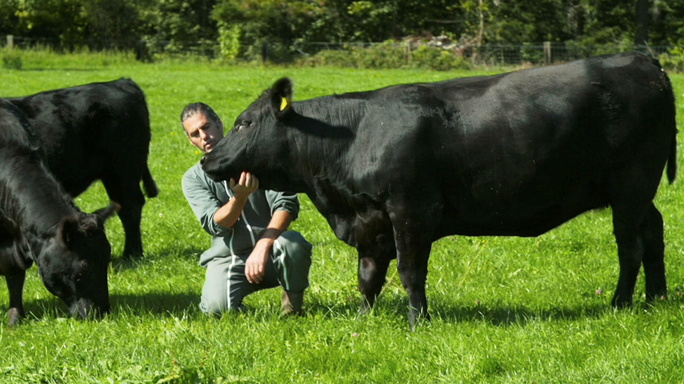 "Wir und das Tier - verehrt oder verzehrt": Nils Müller ist der einzige Schweizer Bauer, der seine Tiere auf der Weide erschiessen darf.