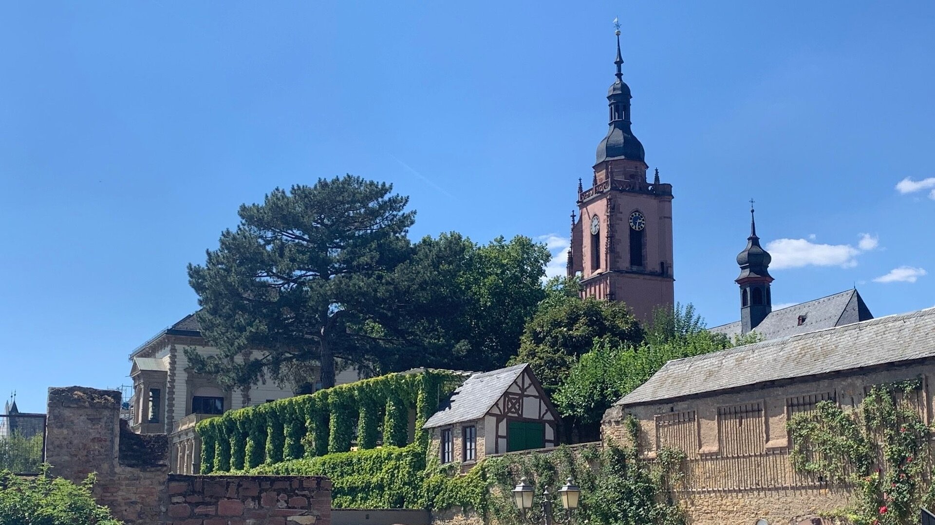 "Evangelischer Open-Air-Gottesdienst: Mit Gefühl -Tieren begegnen": Hinter einer Steinmauer stehen Häuser und eine Kirche. Die Sonne scheint, der Himmel ist wolkenlos blau.