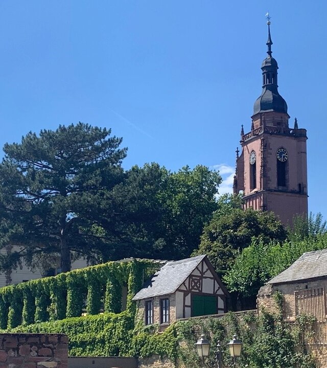 "Evangelischer Open-Air-Gottesdienst: Mit Gefühl -Tieren begegnen": Hinter einer Steinmauer stehen Häuser und eine Kirche. Die Sonne scheint, der Himmel ist wolkenlos blau.